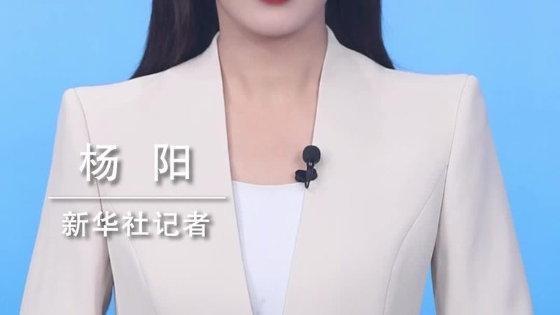 软件定制开发周期：影响因素与实际案例